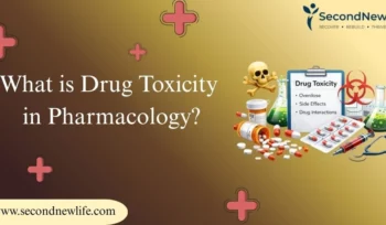 What is Drug Toxicity in Pharmacology